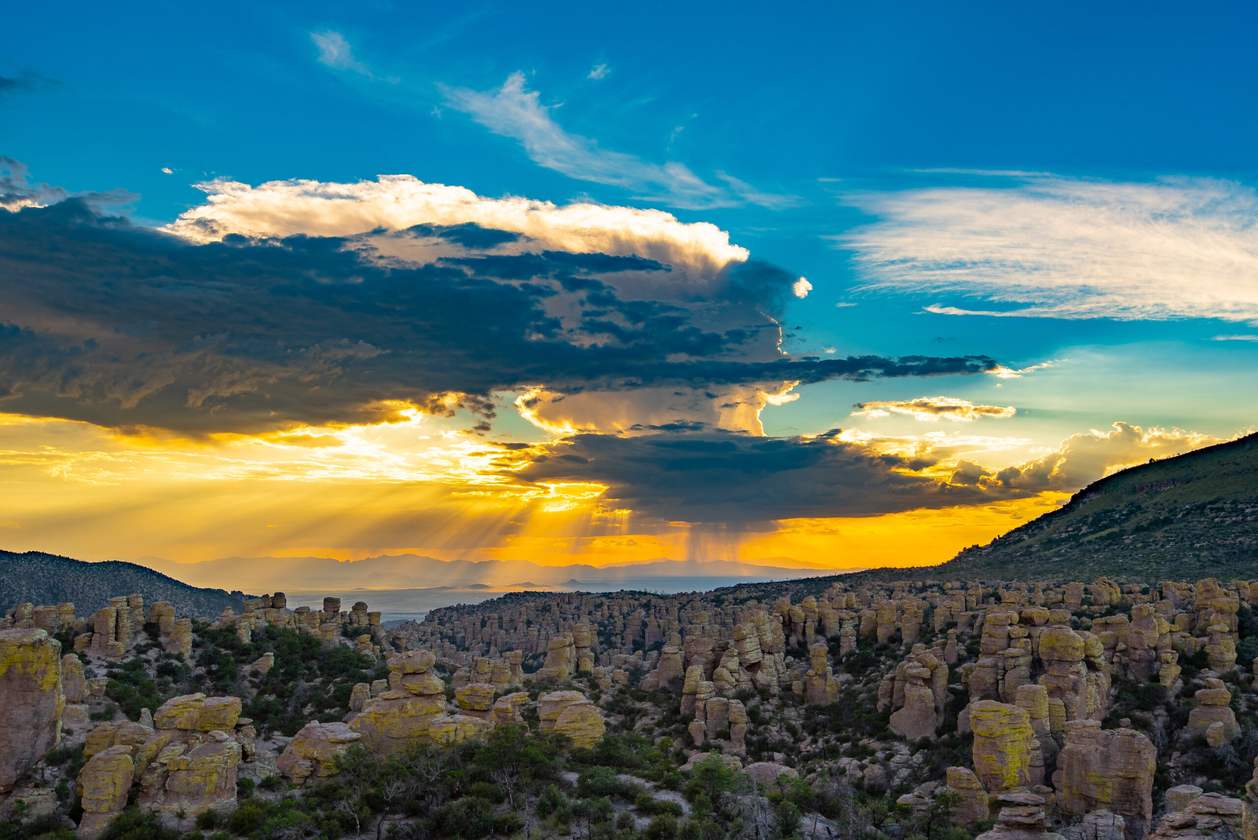 Holidays Bring Hope For New National Parks National Park Explorer